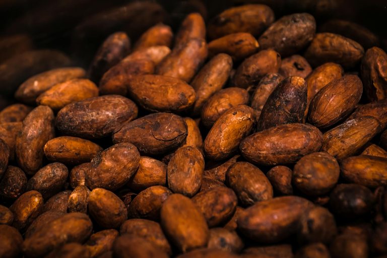 Rich and detailed close-up image of roasted cocoa beans, perfect for food industry visuals.